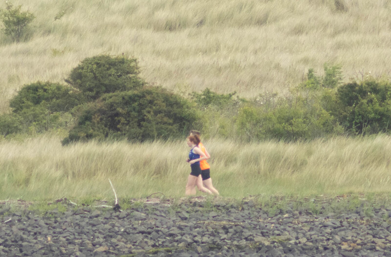 Runner jogging on rocky beach with tall grass and shrubs in background.