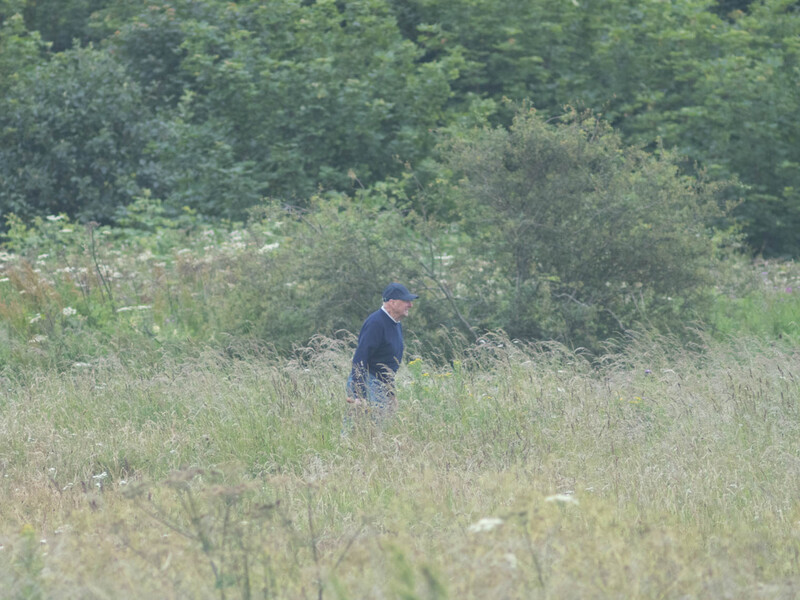 Person walking through tall grass with forested hillside in background.