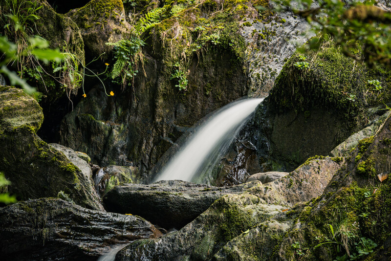 Cascading waterfall flowing through moss-covered rocky canyon with a fallen log in foreground.