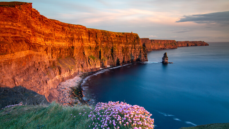Dramatic coastal cliffs at golden hour with purple wildflowers in foreground and deep blue ocean below.