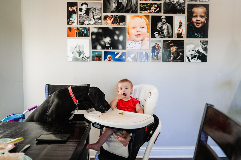 Infant in red shirt seated in high chair against wall displaying photo collage.