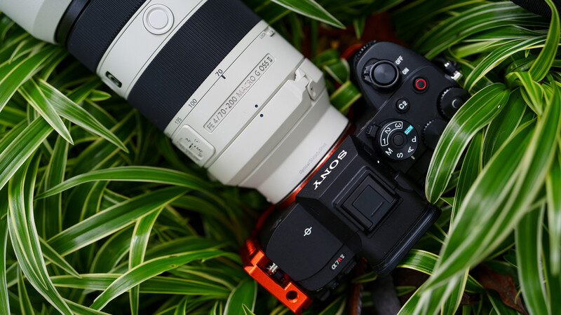 Sony mirrorless camera with white telephoto lens on green foliage background.