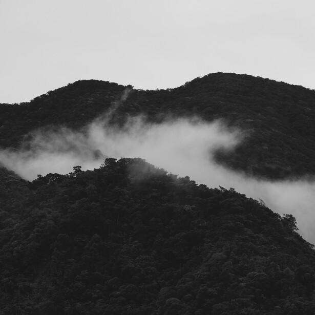 Layered mountain silhouettes with mist flowing through forested valleys in black and white.