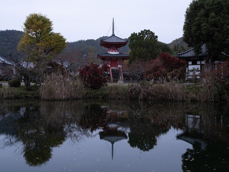 Red pagoda reflected in still water surrounded by bare trees and architectural structures.