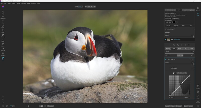 Puffin perched on a rock with fish in its beak, facing the camera against a blurred green background.