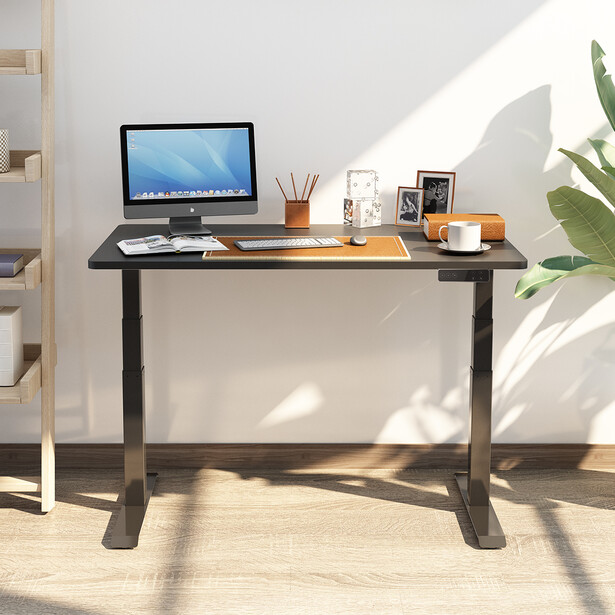 FlexiSpot Standing Desk