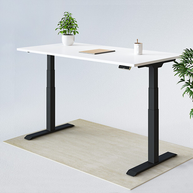 FlexiSpot Standing Desk