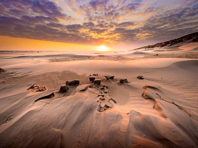 Looking at sunrise and the sand sculptures make you blind for the disturbances in the frame. If it isn't possible to keep it out of the frame, remove these things in post.