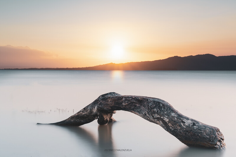 Weathered driftwood log curved in shallow water during golden hour sunset with mountains in background.