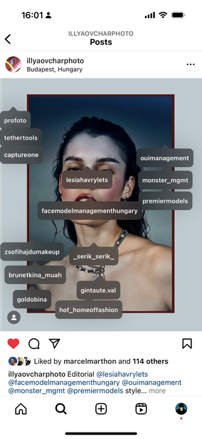 Screenshot of Instagram post showing portrait with visible text overlay tags identifying facial features and composition elements.