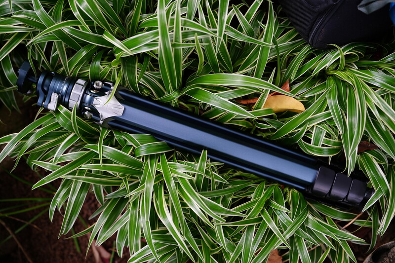 Telephoto lens with black barrel and white focus ring resting on variegated green and white foliage.