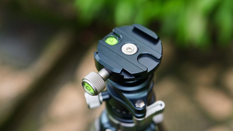 Close-up of a ball head tripod mount with bubble level and quick-release plate against blurred foliage.