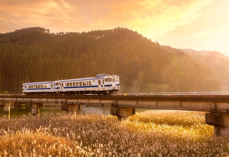 Passenger train crossing a concrete bridge over golden reed fields with forested hills at sunset.