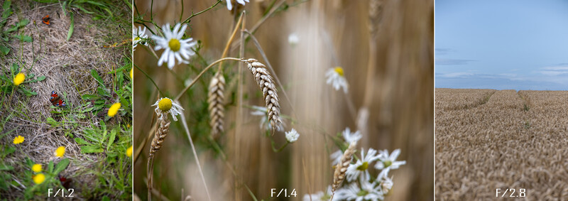 Three side-by-side photographs showing depth of field comparison at different f-stops: wildflowers at F/4.2, wheat stalks with daisies at F/4.4, and a harvested field at F/2.8.