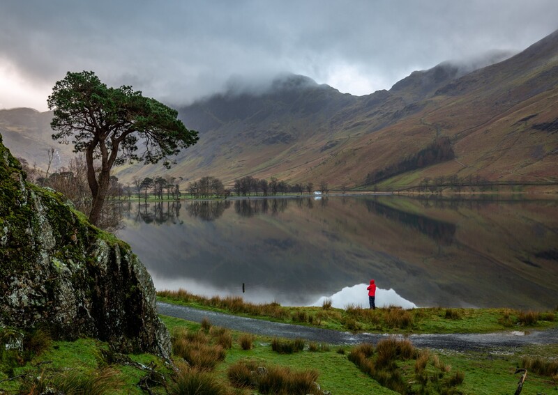 Solitary tree beside a calm lake reflecting mountain peaks under overcast sky.