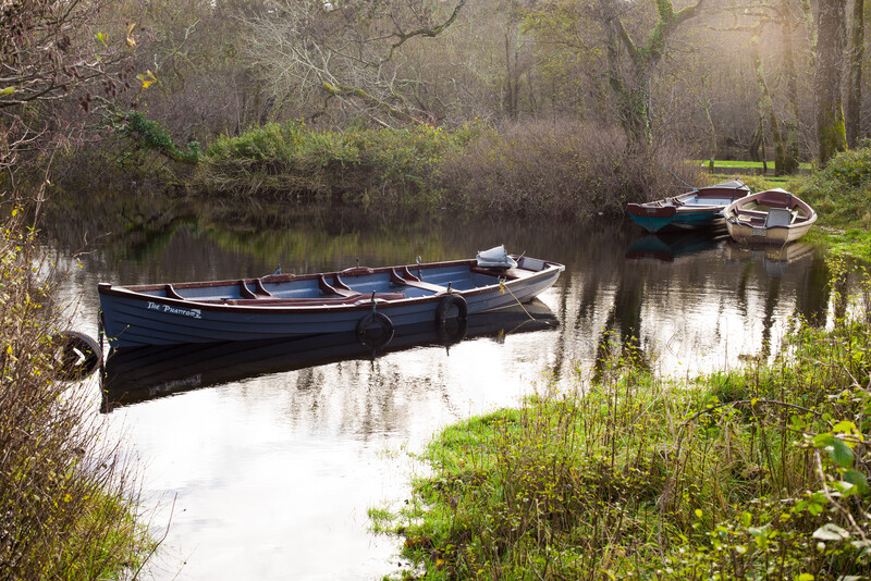 Blue rowboats moored on still water surrounded by bare trees and green vegetation.