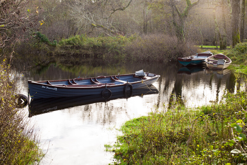 Dark blue rowing boats moored on still water surrounded by bare trees and green vegetation.
