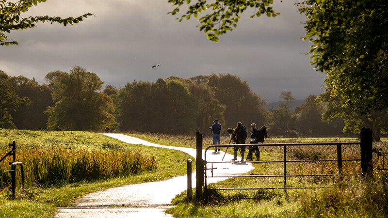 Group of people standing at an open farm gate overlooking a sunlit meadow bordered by trees.