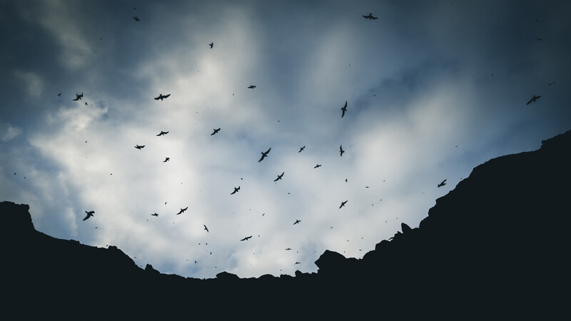 Flock of birds flying across a bright sky between two dark mountain silhouettes.