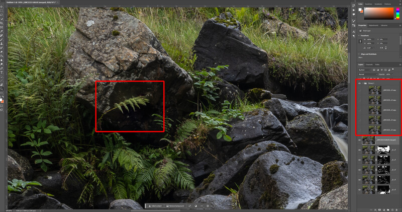 Screenshot of photo editing software showing a forest stream scene with selection tools highlighting fern vegetation.
