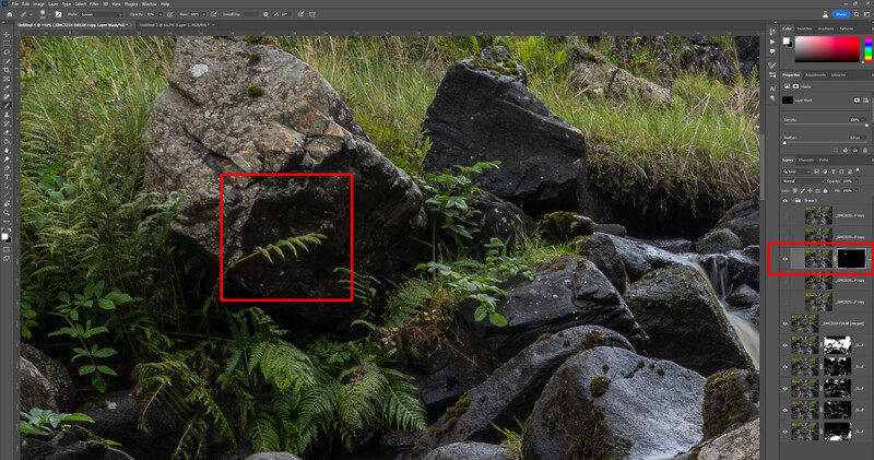 Screenshot of photo editing software showing a nature scene with rocks and ferns, with a red selection box around fern foliage.