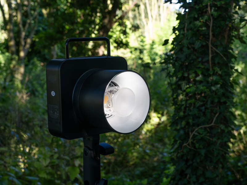 Studio strobe with white reflector mounted on stand against green foliage backdrop.