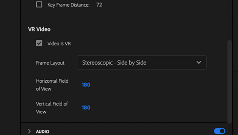 Screenshot of VR video settings panel showing stereoscopic side-by-side frame layout with 180-degree horizontal and vertical field of view values.