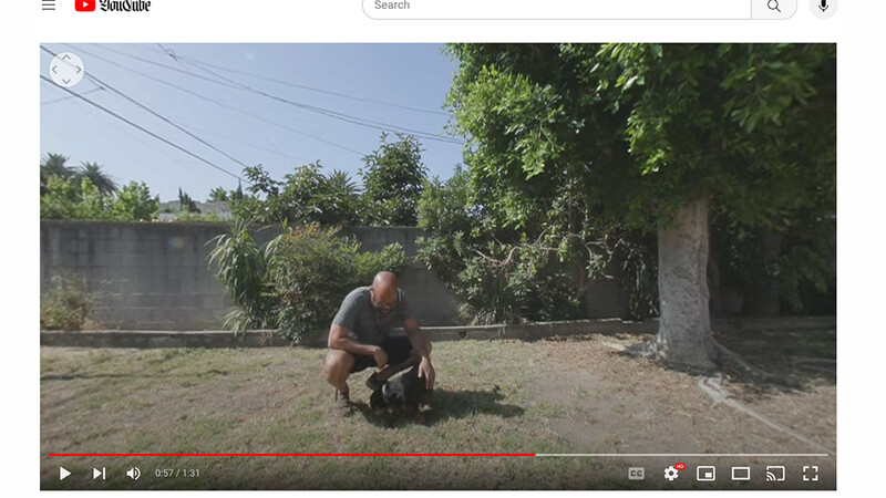 Man crouching in a dry, overgrown yard with concrete walls and dense green foliage surrounding the space.