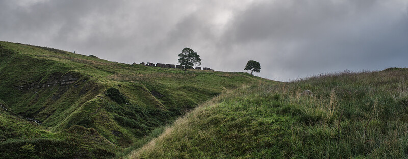 Rolling green hillside with sheep grazing on distant ridge beneath overcast sky.