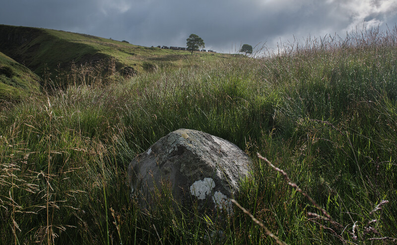 Boulder with white lichen nestled in overgrown grassland beneath cloudy sky.