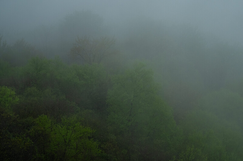 Fog at Lindy Point, West Virginia