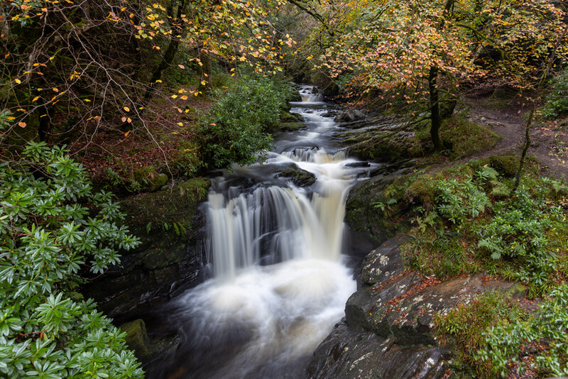 Cascading waterfall flowing through moss-covered rocks surrounded by autumn foliage and dense forest.
