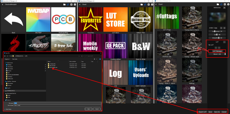Screenshot of photo editing software with multiple windows displaying image galleries and editing panels.