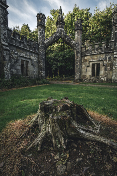 Tree stump in foreground with stone ruins of a building in background, framed by ivy-covered towers.