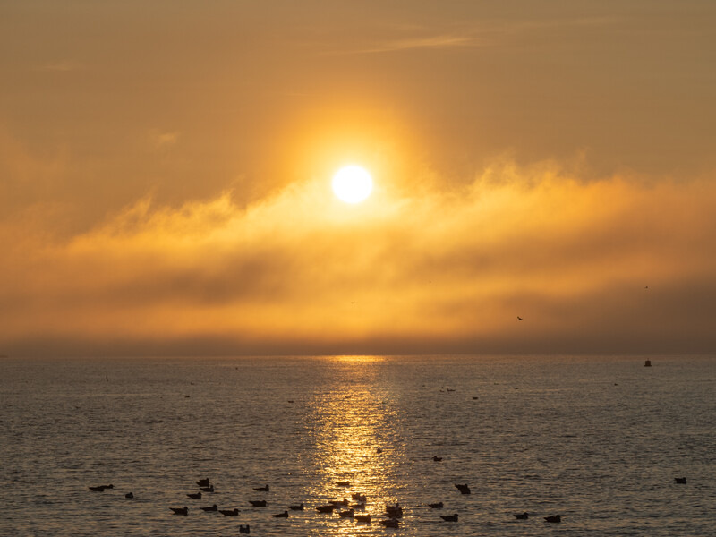 Golden sunset over calm ocean with bright sun breaking through clouds and birds scattered across the water.