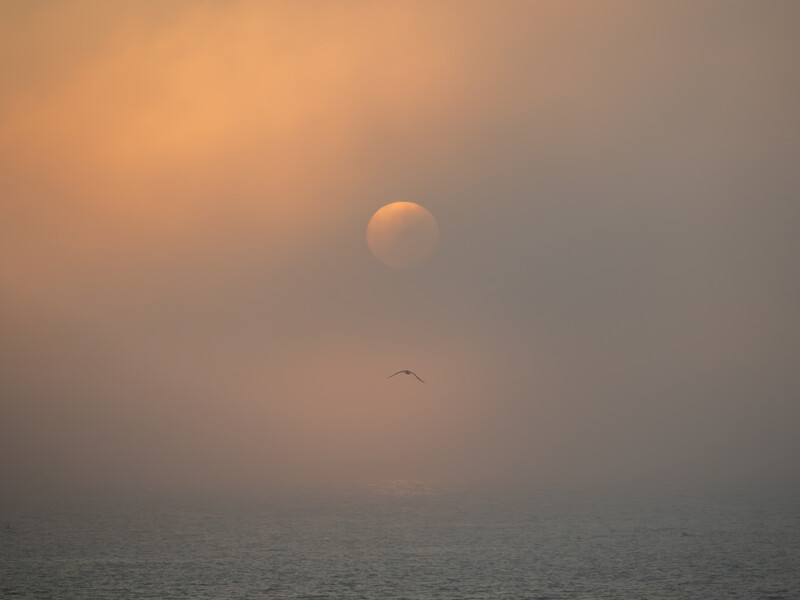 Sun obscured by heavy haze over calm ocean water at dawn or dusk.