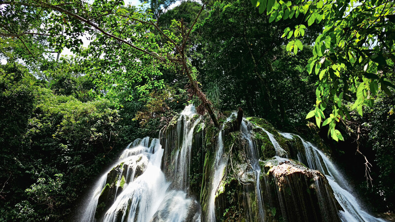 Multi-tiered waterfall cascading over moss-covered rocks surrounded by dense green forest canopy.