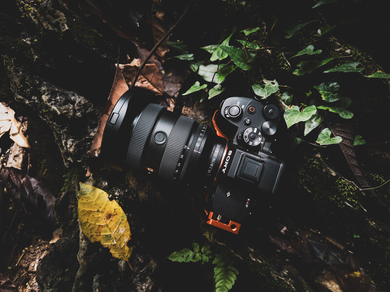 Professional camera with telephoto lens resting on moss-covered ground surrounded by green foliage and fallen leaves.