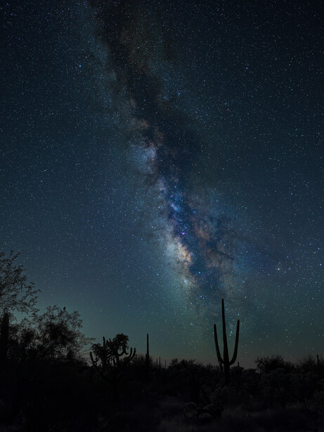 Milky Way galaxy stretching across night sky above desert landscape with saguaro cactus silhouette.