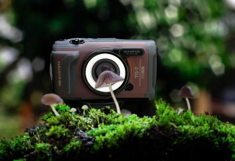 Vintage compact camera with ring flash attachment resting on moss-covered surface with blurred foliage background.