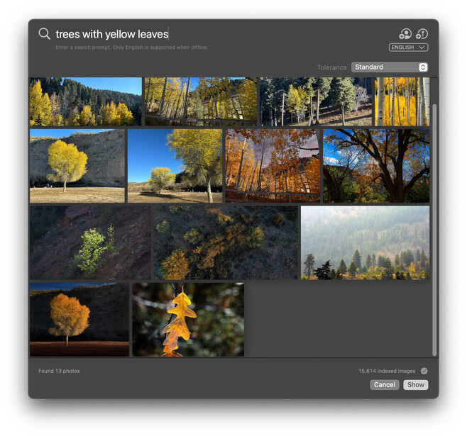 Screenshot of a stock photo search interface displaying results for trees with yellow leaves.