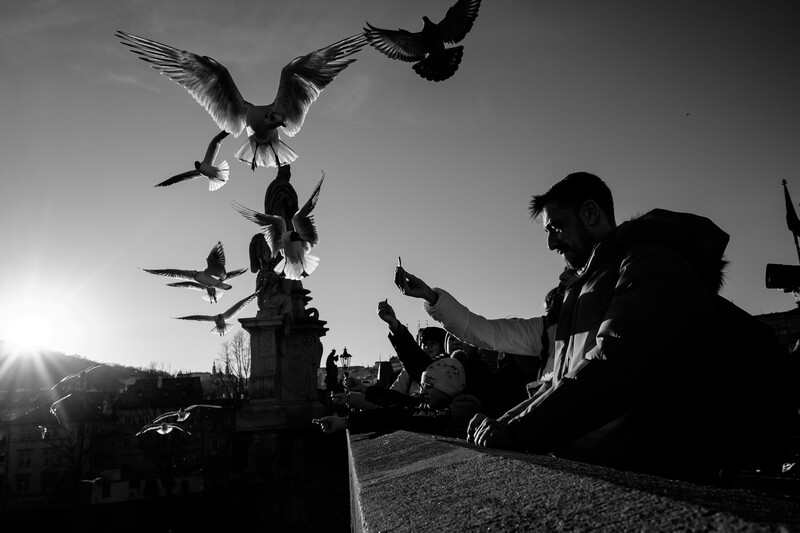 Seagulls on Charles bridge. Would a full-frame make this Fujifilm X70 capture any better? I highly doubt it.&nbsp;