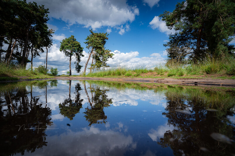 Sony A7 IV with FE16-35GMII at 16mm, ISO100, f/11 and 1/160s Post processed to taste in Lightroom Classic
