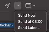 Screenshot of a messaging app send options menu with three choices: Send Now, Send at 08:00, and Send Later.
