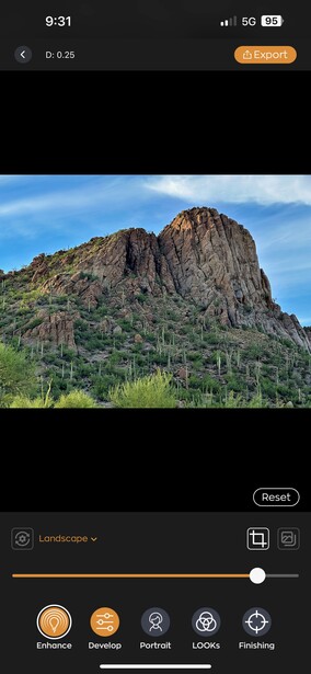 Rocky mountain peak with desert vegetation and blue sky, photographed in natural daylight.