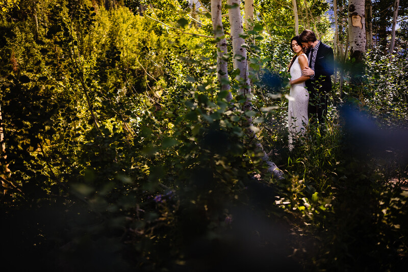 Bride and groom standing together among lush green foliage in dappled sunlight.