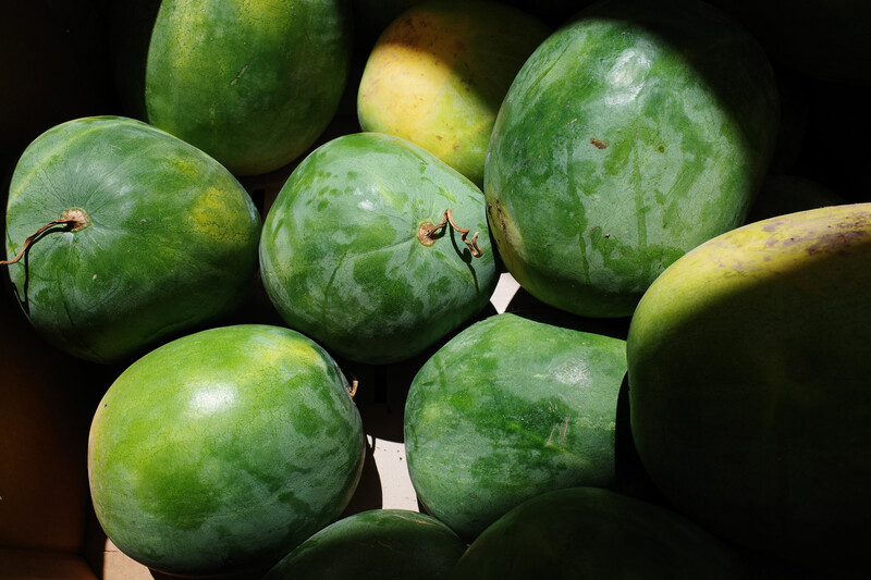 Cluster of green mangoes with mottled skin and brown stems arranged against a dark background.