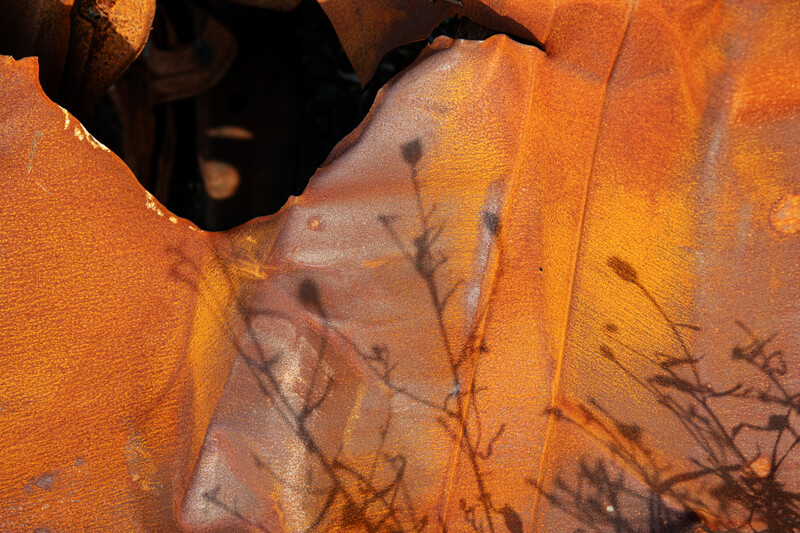 Orange fabric with shadow silhouettes of plant stems and branches cast across its surface.