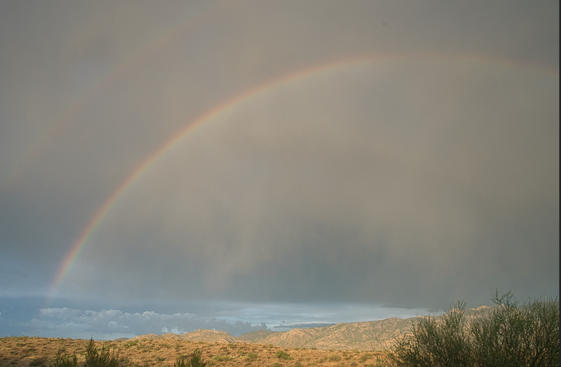 Rainbow arcing over arid desert landscape with sparse vegetation under dramatic storm clouds.