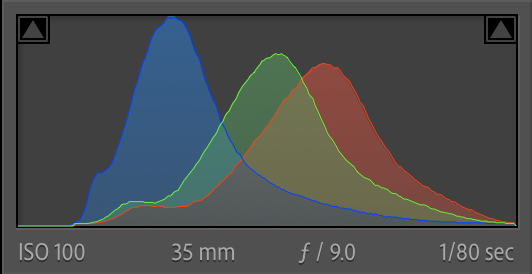 Histogram showing overlapping distribution curves for three color channels in blue, green, and red against a dark background.